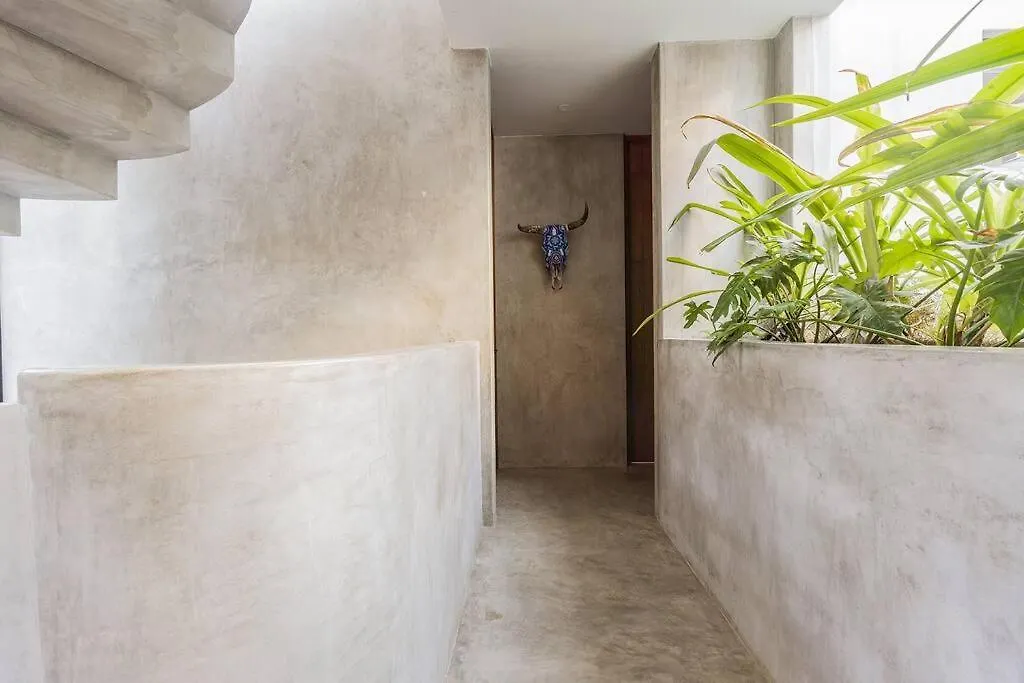 Fantastic 4Br Villa 10Ppl Pool And Jacuzzi Tulum